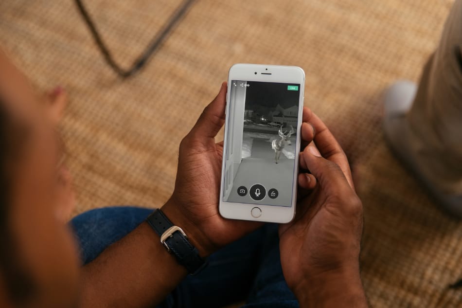 Elmore AL security system